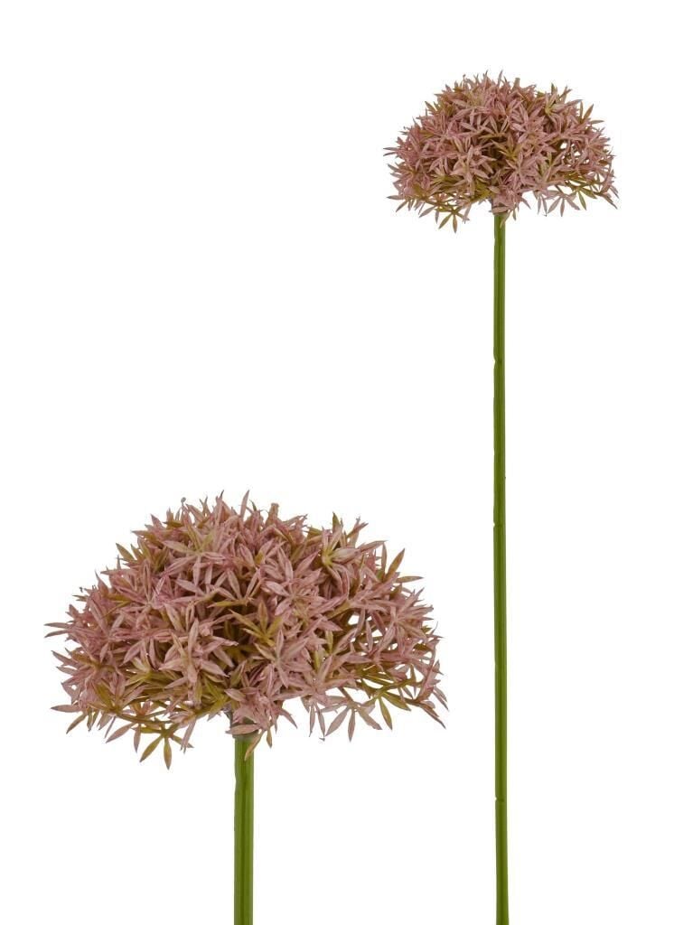 FIORINA PITIRCIK LAVANTA PEMBE