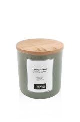 LE JARDIN CITRUS SAGE MUM YEŞİL 10X10CM
