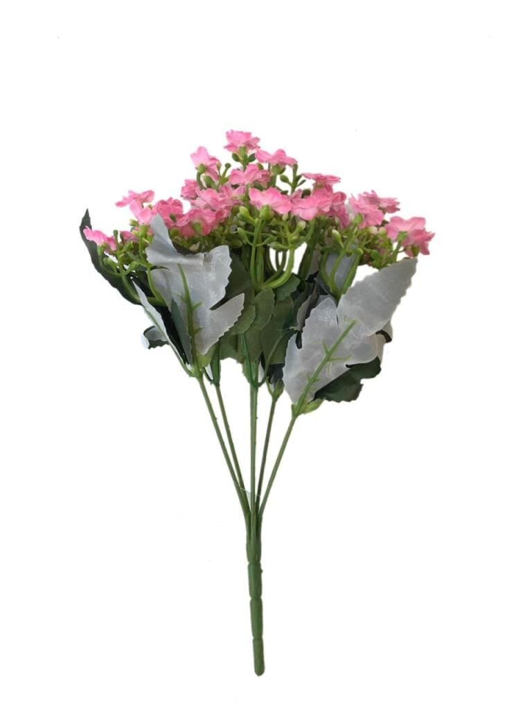 PAPATYA DEMET PEMBE 26 cm