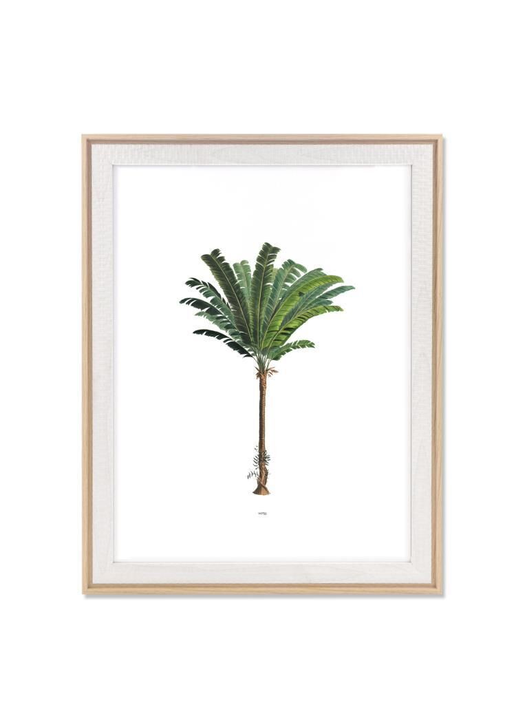 RETRATO BEYAZ ÇERÇEVE 30x40 CM