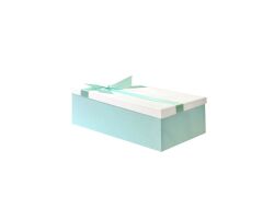 MİNT YEŞİL BEYAZ FİYONKLU KUTU 24CM