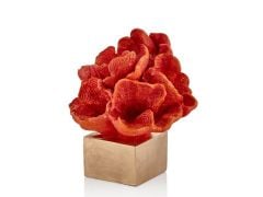 KIRMIZI DALGALI MERCAN DEKOR 27CM