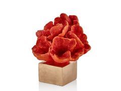 KIRMIZI DALGALI MERCAN DEKOR 27CM